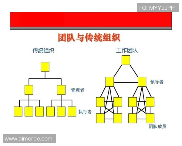南京乒乓球队配合表现数据分析揭示团队协作与胜率之间的关系