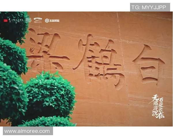 重庆排球队的奋斗与荣耀之路:杯赛特别报道揭秘他们的突破历程