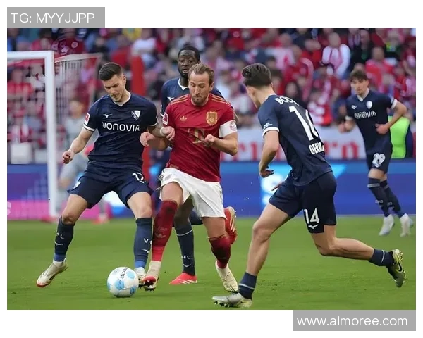 足球明星豪赌背后的故事与精彩瞬间全记录